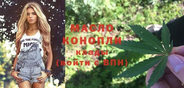 индика Кодинск
