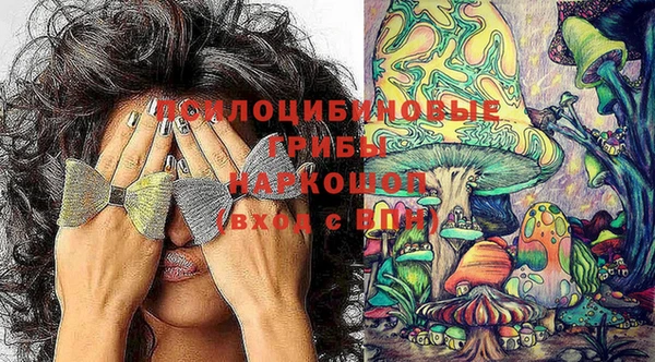 индика Кодинск