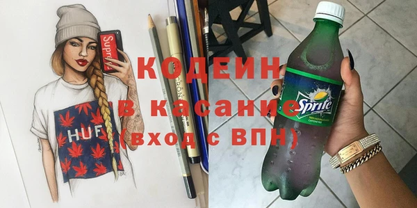 индика Кодинск
