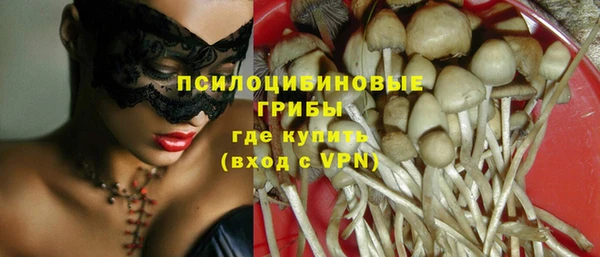 индика Кодинск