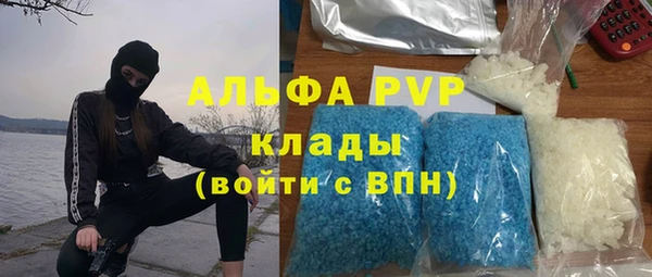 индика Кодинск